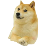 doge_logo